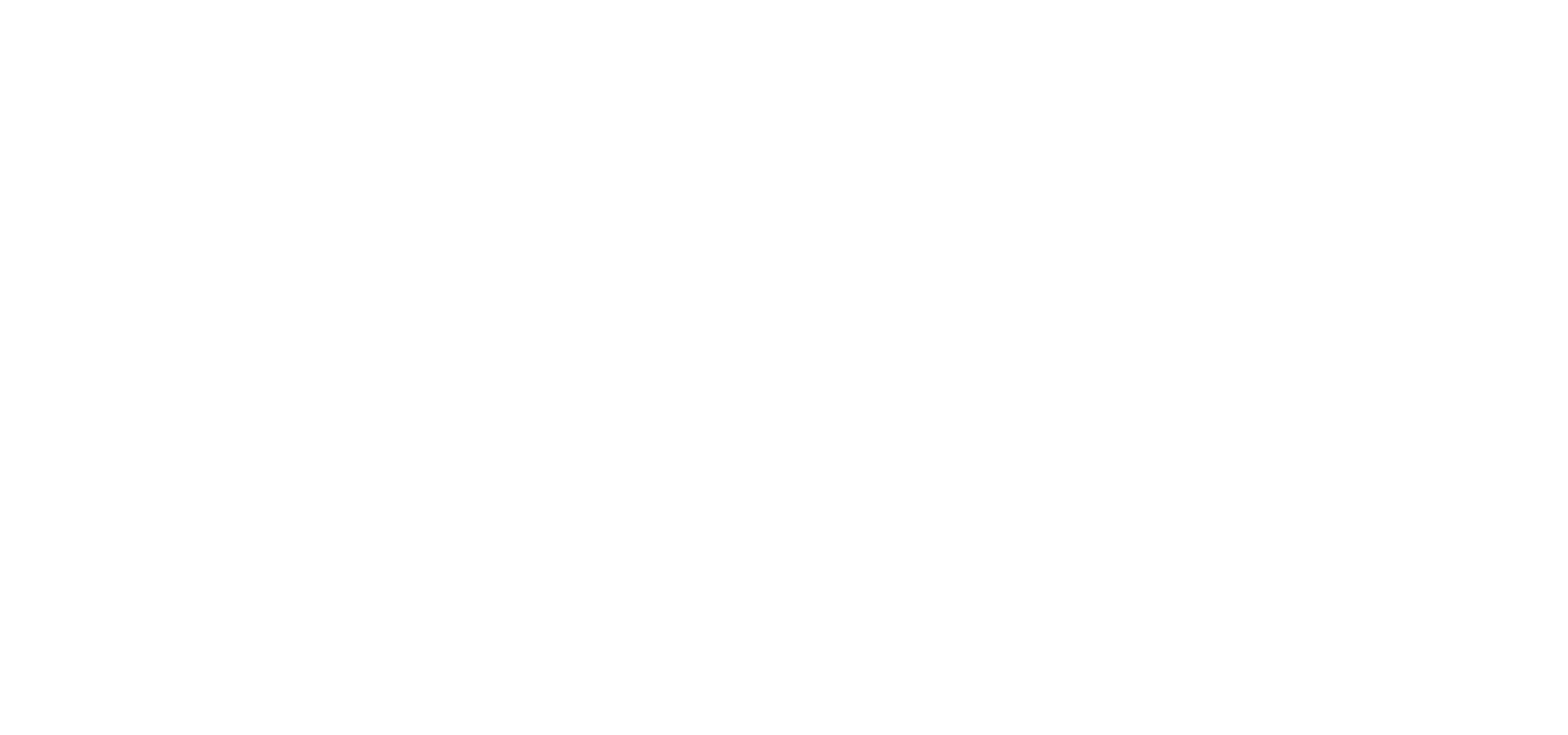 Logo Bissap-03